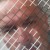 Profile picture of 
