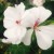 Profile picture of 