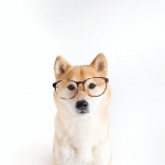 Profile picture of chriszhu