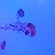 Profile picture of 