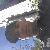 Profile picture of 