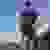 Profile picture of 