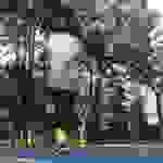 Profile picture of zupercb