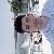 Profile picture of Karam.haraq