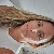 Profile picture of 