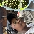 Profile picture of 